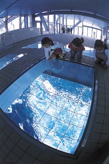 渦の道から望む潮流